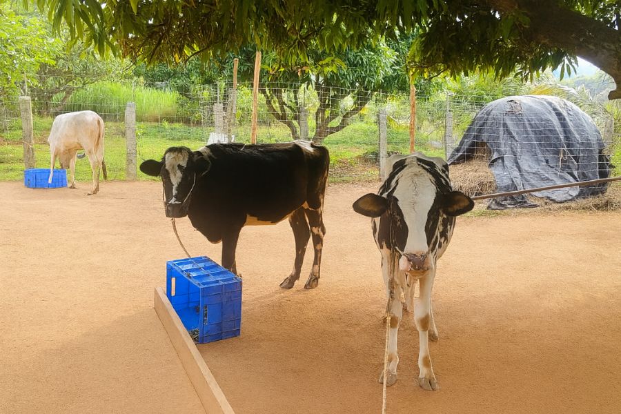 kusuma hospital (86)