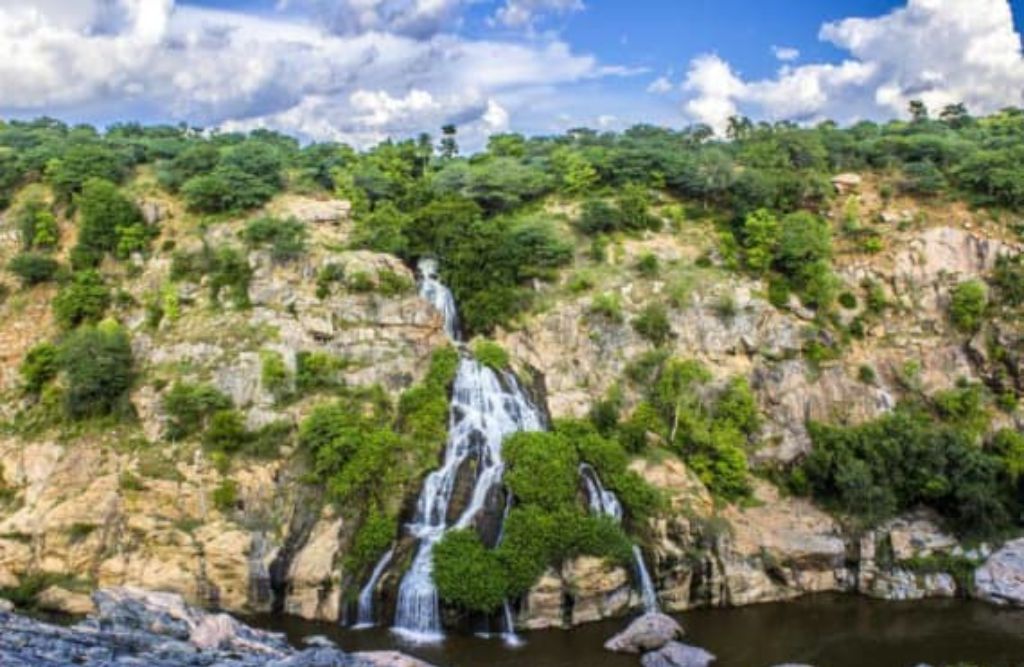 untitled design (12)