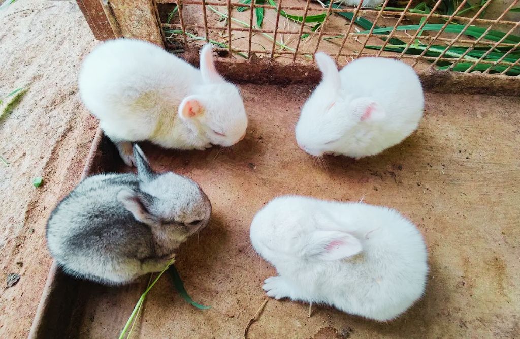 untitled design (19)