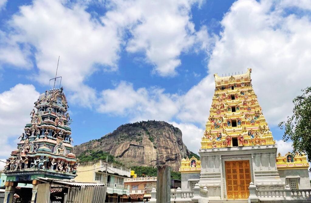 untitled design (21)