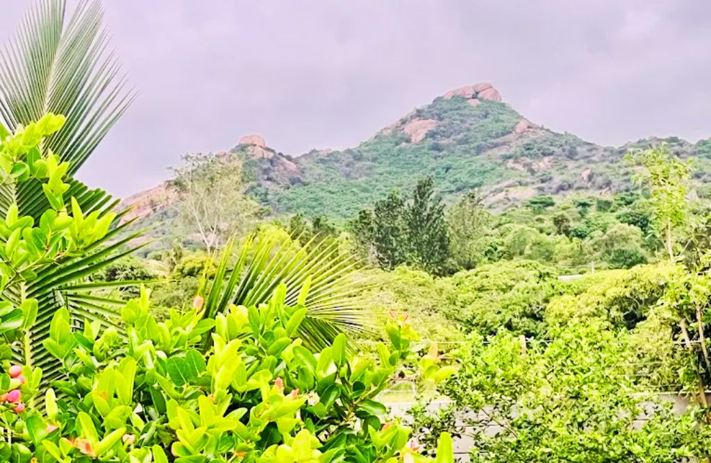 Sri Farms Kanakapura - Best FarmHouse in Kanakapura, Homestay near kanakapura Bangalore