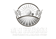 untitled design (13)